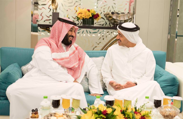 محمد بن زايد يجري مباحثات مع العاهل السعودي