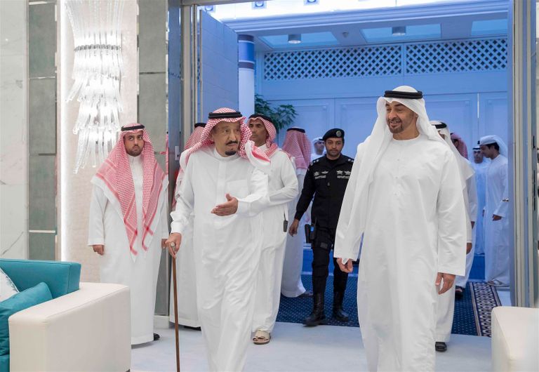 محمد بن زايد يجري مباحثات مع العاهل السعودي