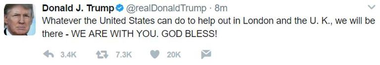 جانب من حادث الدهس