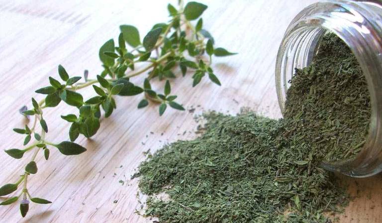 الأطعمة الصحية كسلطة الكرنب تتصدر قوائم الطعام