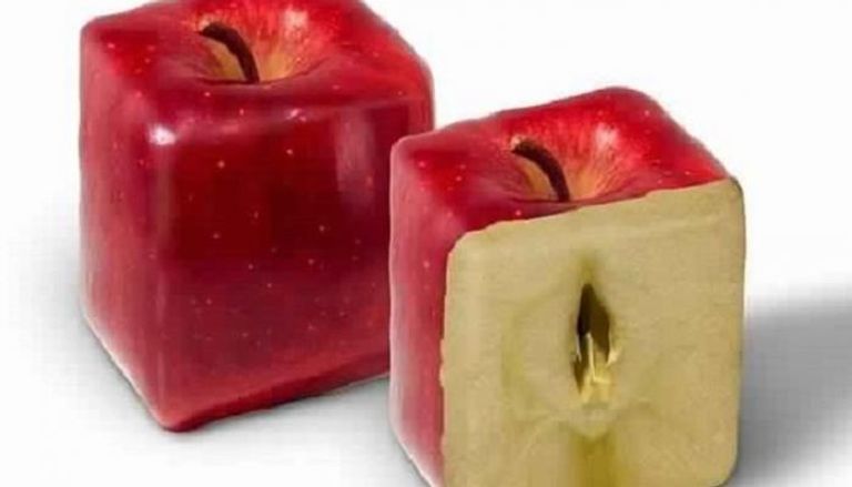 التفاح المربع