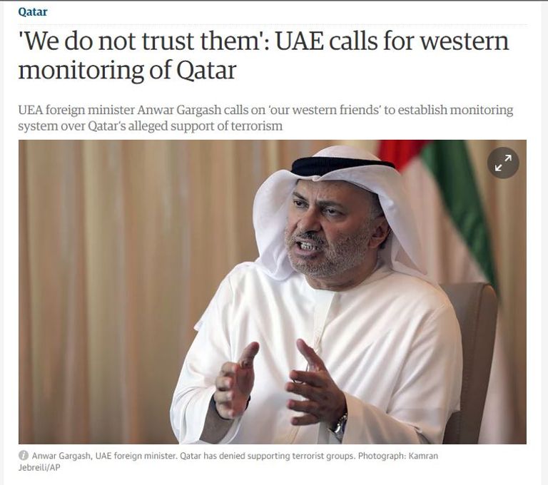 وزير الدولة الإماراتي للشؤون الخارجية أنور قرقاش