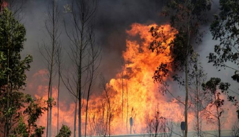 في كارثة هي الأسوأ.. 62 قتيلا بحرائق غابات في البرتغال