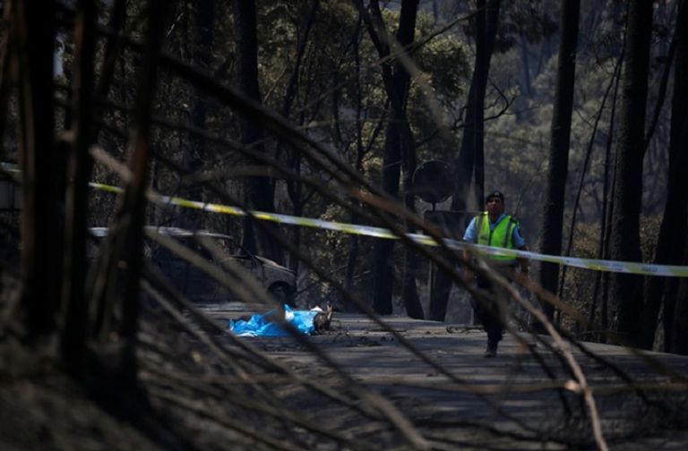 62 قتيلا بحرائق غابات في البرتغال