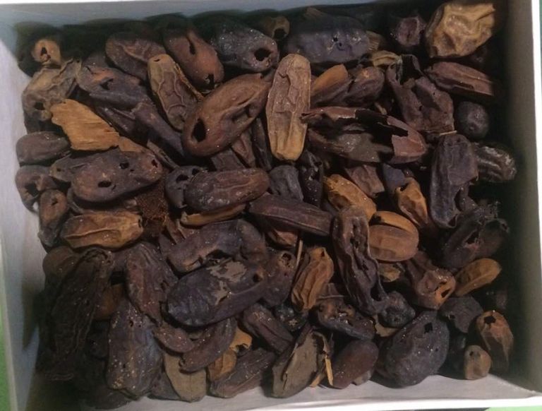 نقل القطع تمهيدا للافتتاح الجزئي للمتحف