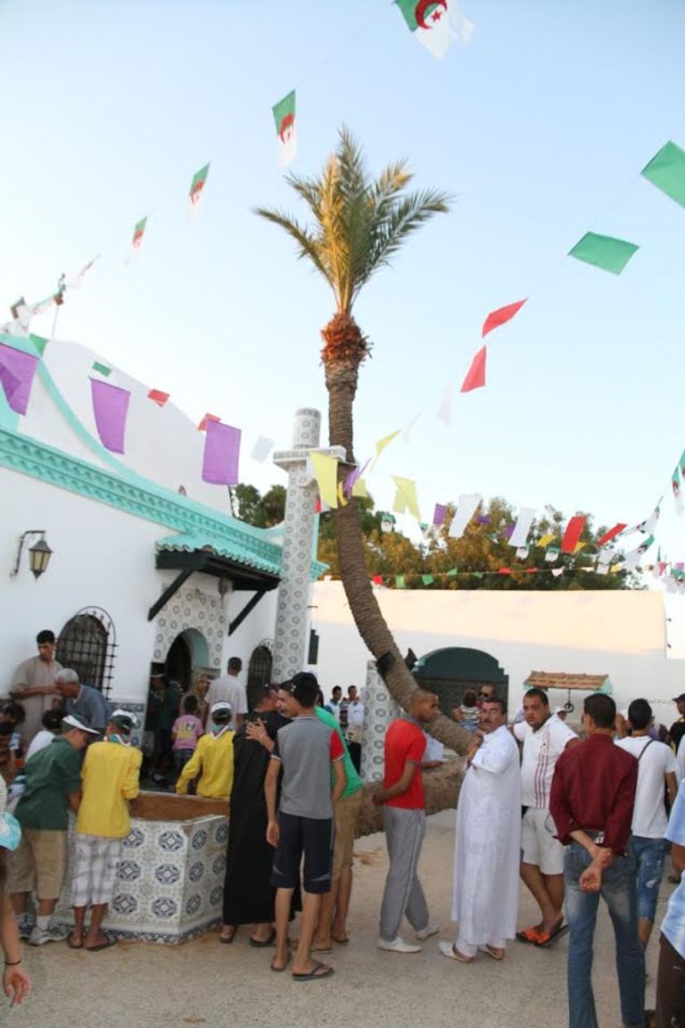 أقدم وأغرب نخلة في العالم بالجزائر