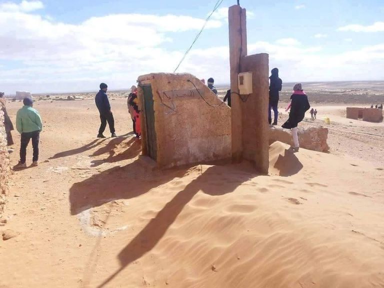 "الموحدون" بالجزائر