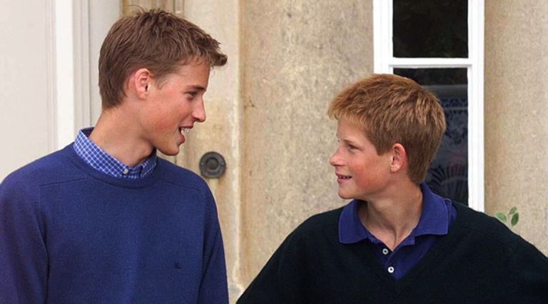 الأمير هاري