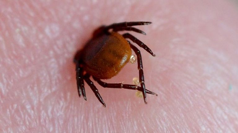 صورة أرشيفية