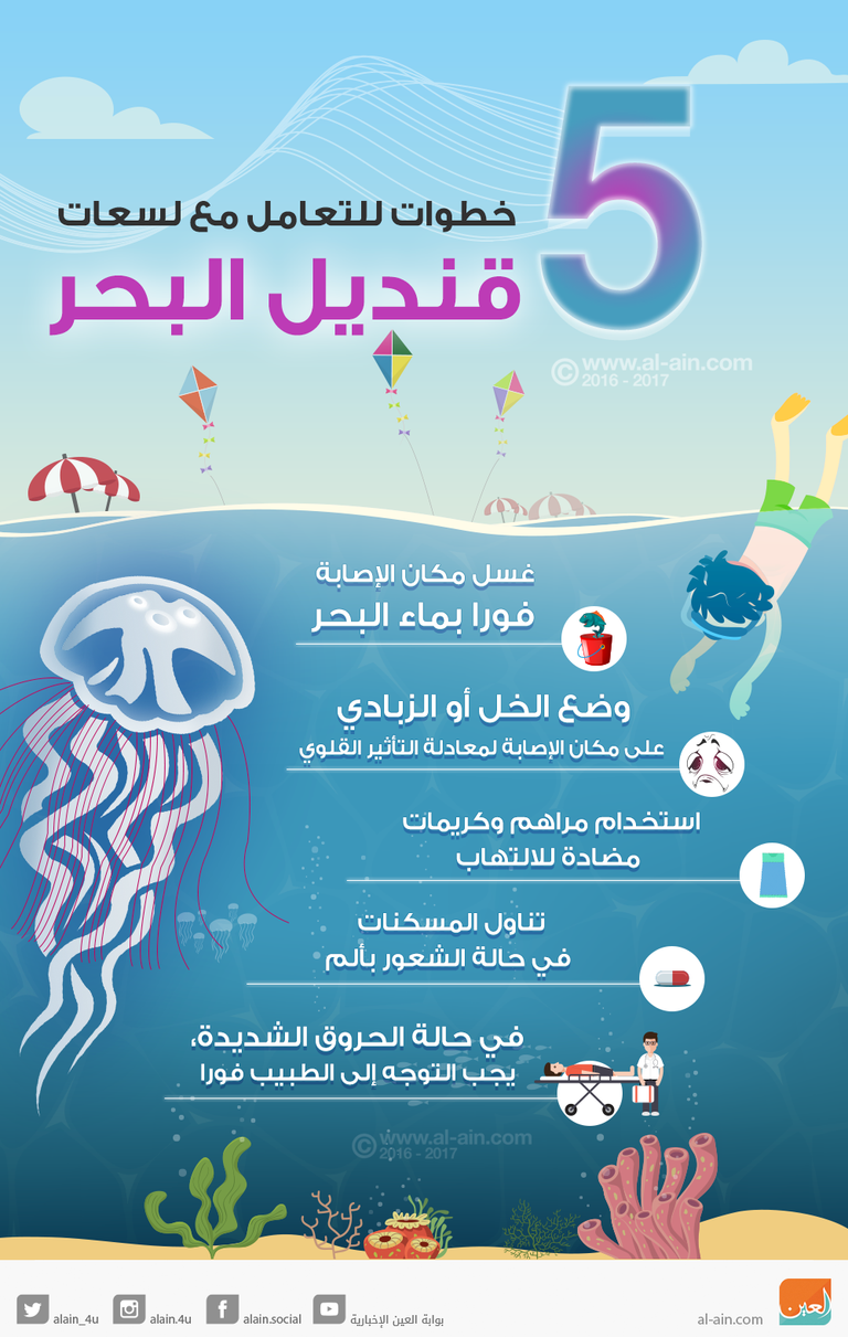 5 خطوات للتعامل مع لسعات قنديل البحر