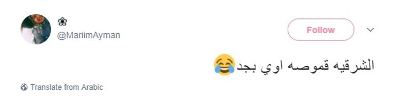 فريق الشرقية