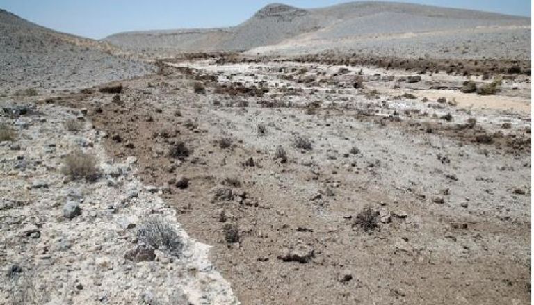 تسونامي مياه سامة يجتاح صحراء في إسرائيل