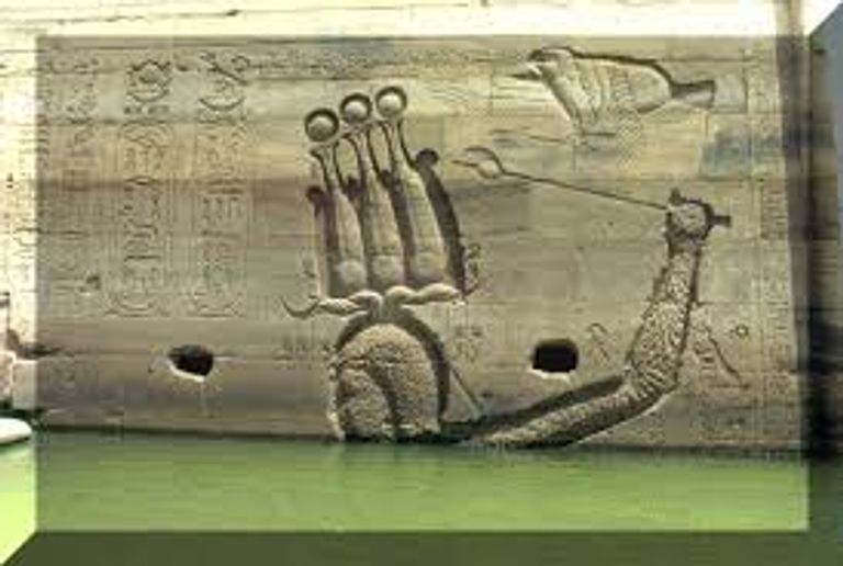 الاحتفال باليوم العالمي للنوبة