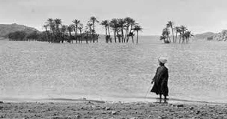 الاحتفال باليوم العالمي للنوبة