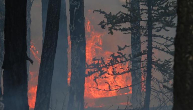 الحرائق انتشرت في أنحاء المناطق الداخلية الريفية بكندا- أ.ف.ب