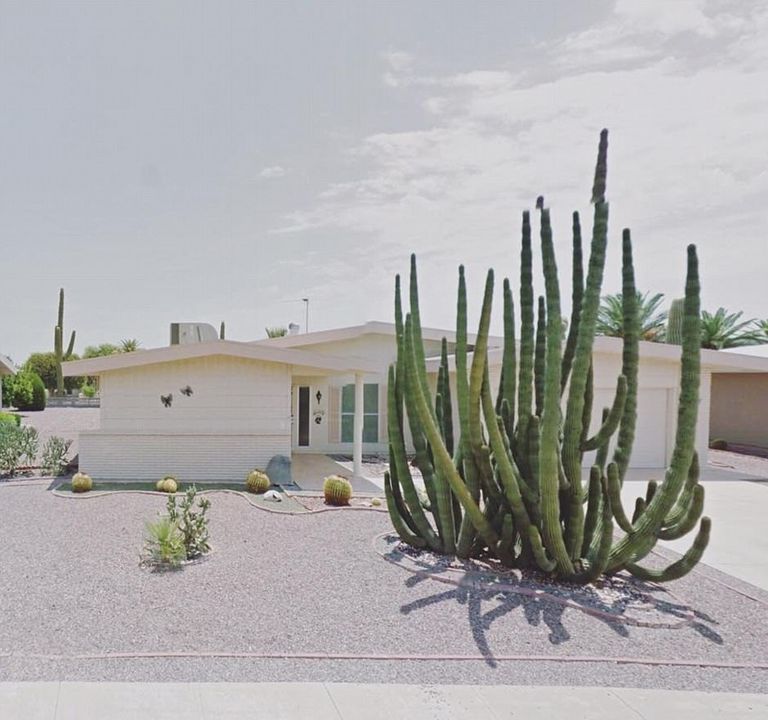 إحدى اللقطات التي التقطتها جاكي