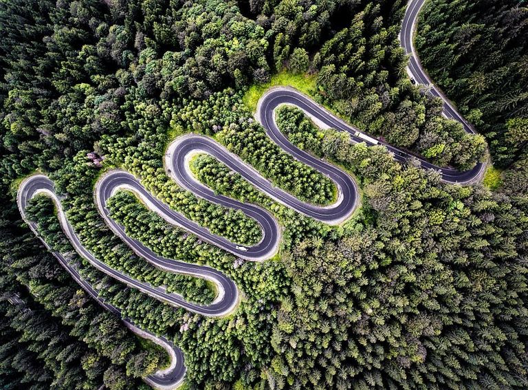 إحدى الصور الفائزة