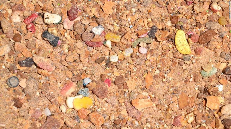 أبقار المزعة تنتج أشهى أطباق اللحوم