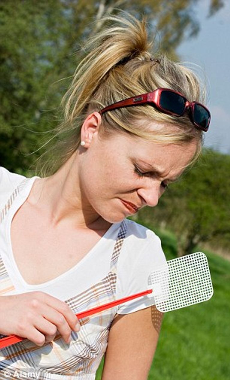 كيف تتجنب لدغات الحشرات في العطلات ؟