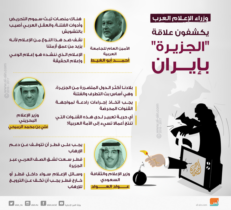 أبو الغيط حذر من استمرار وسائل الإعلام المثيرة للفتن