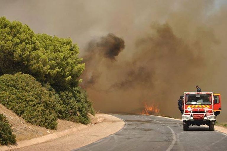 جانب من حرائق الغابات بالجزائر