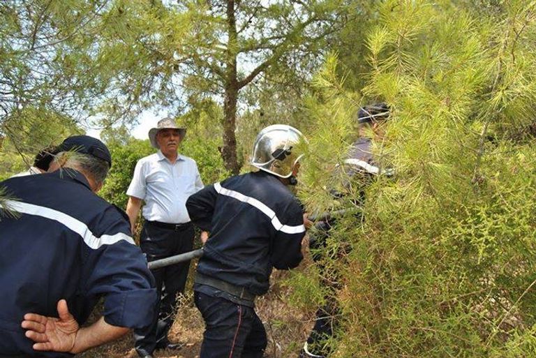 جانب من حرائق الغابات بالجزائر