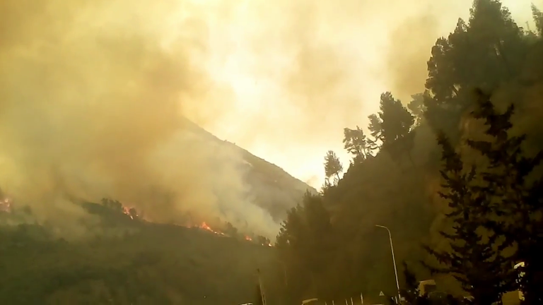 جانب من حرائق الغابات بالجزائر