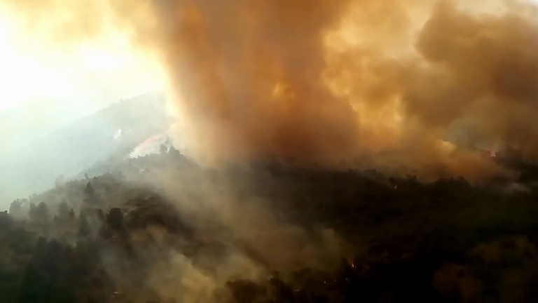 جانب من حرائق الغابات بالجزائر