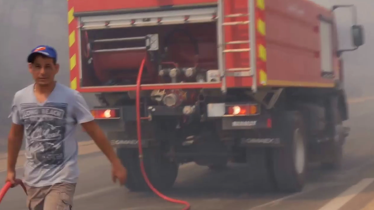 جانب من حرائق الغابات بالجزائر