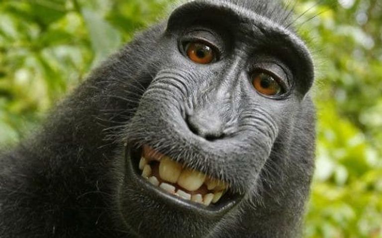 المصور ديفيد سلاتر