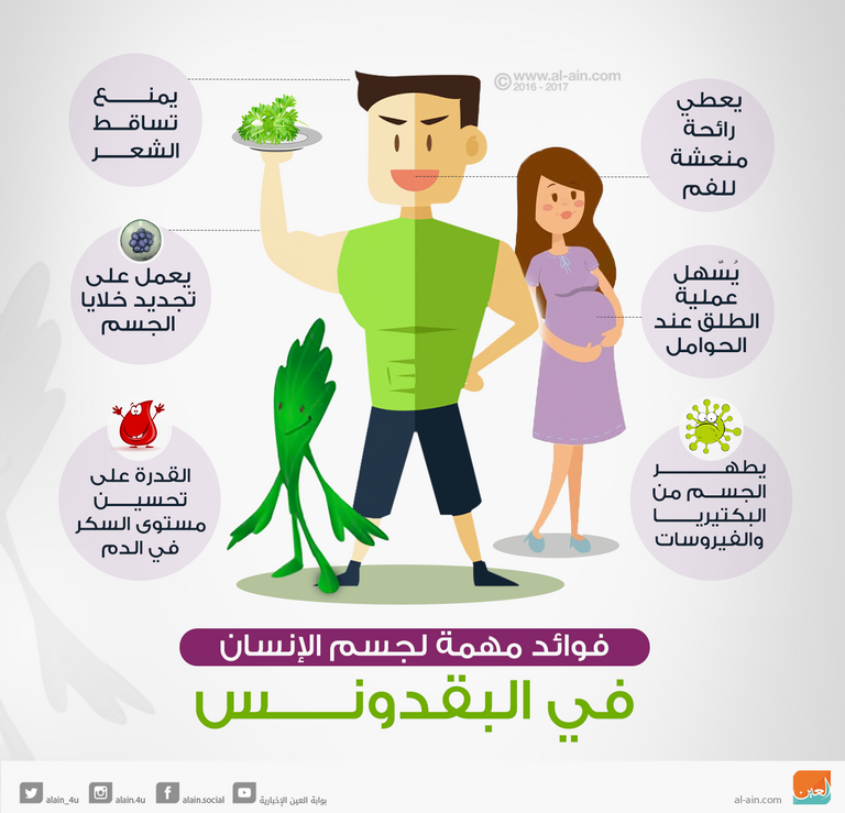 فوائد مهمة لجسم الإنسان في البقدونس