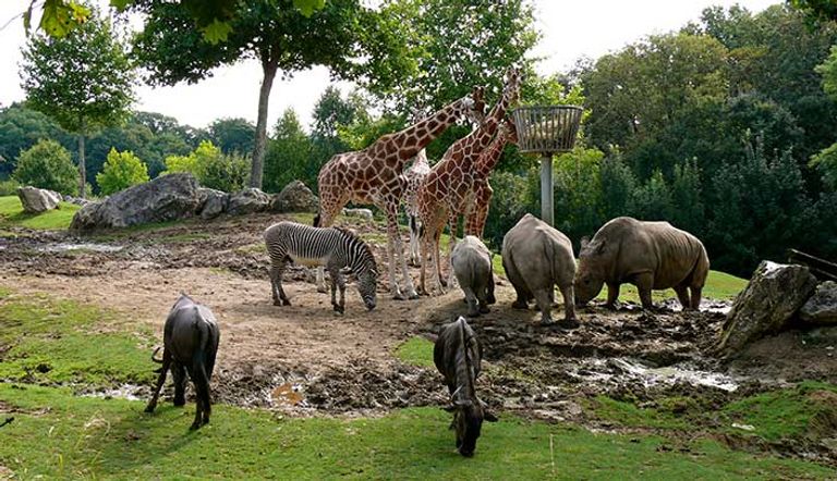 أنشطة صيفية للأم وابنها