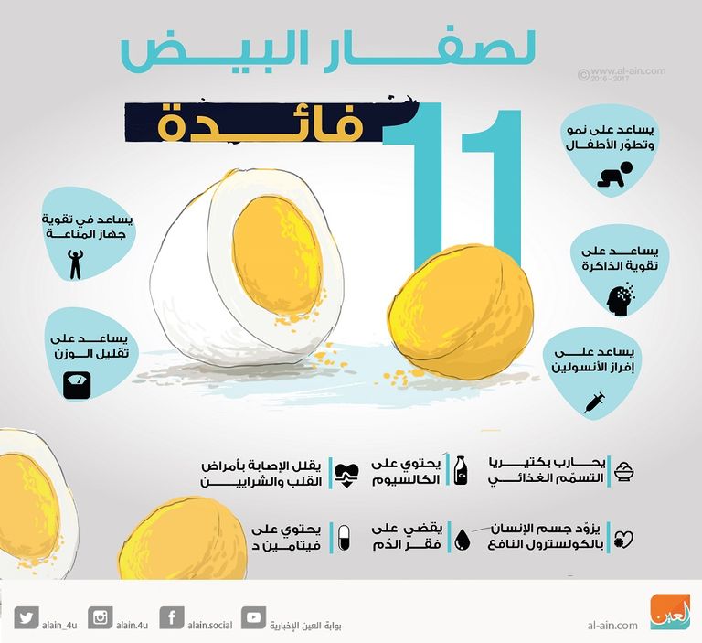 11 فائدة لصفار البيض
