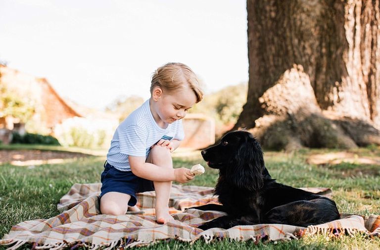 الأمير الإنجليزي الصغير "جورج"