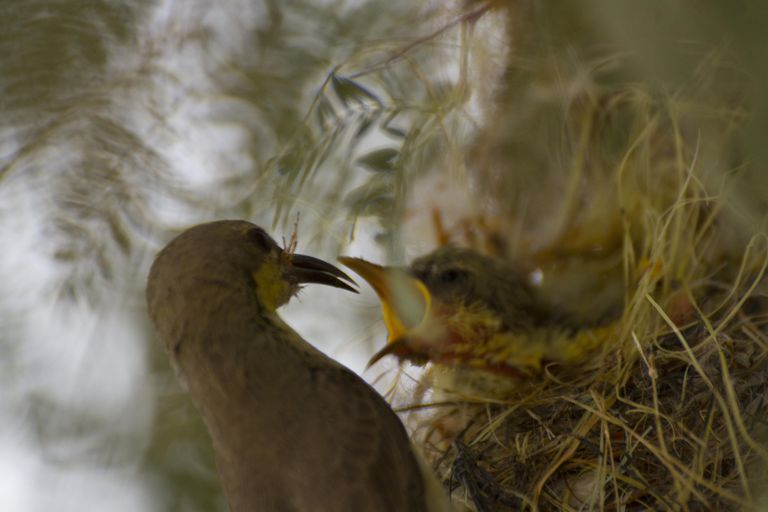 مليحة.. تنبض بالحياة