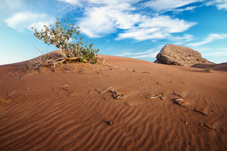 مليحة.. تنبض بالحياة