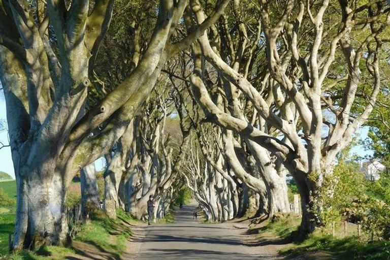 مدن ومناطق تصوير