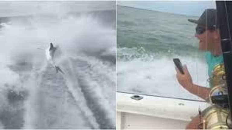 3 صيادين بفلوريدا متهمون بإهانة سمكة قرش