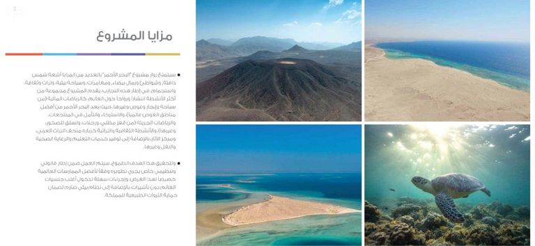 الأمير محمد بن سلمان بن عبد العزيز، ولي العهد السعودي، نائب رئيس مجلس الوزراء وزير الدفاع