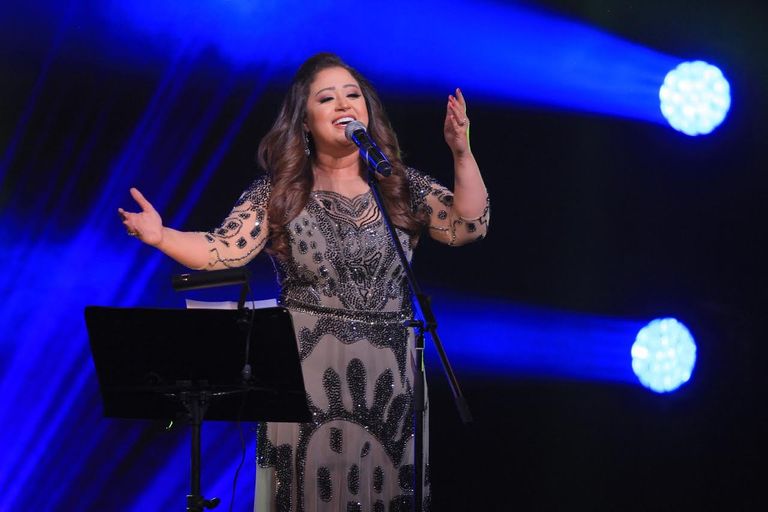 النجوم المشاركين في مهرجان القلعة للموسيقى والغناء