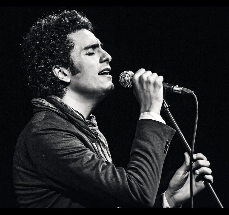 النجوم المشاركين في مهرجان القلعة للموسيقى والغناء