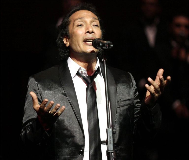 النجوم المشاركين في مهرجان القلعة للموسيقى والغناء