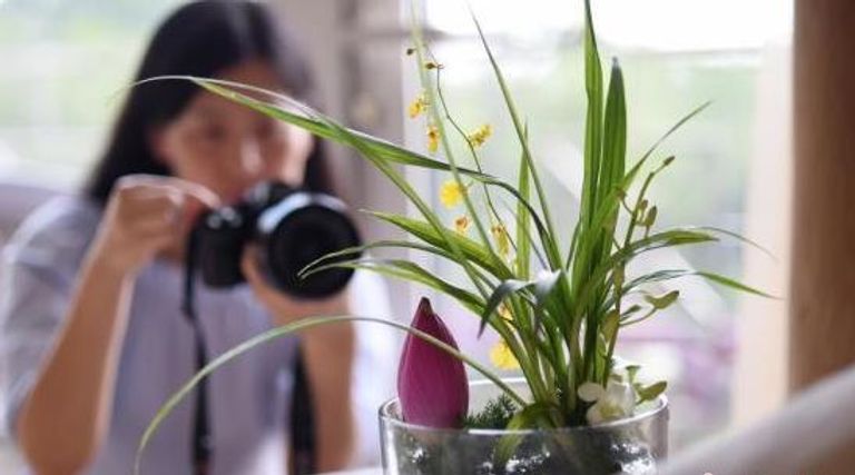 "مُختبر الأسِرَة" تعرف على مهنة الأحلام