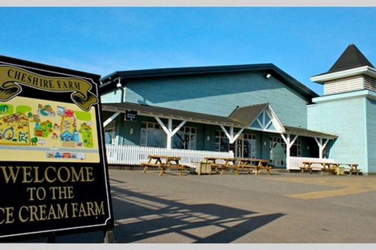 شجرة الآيس كريم