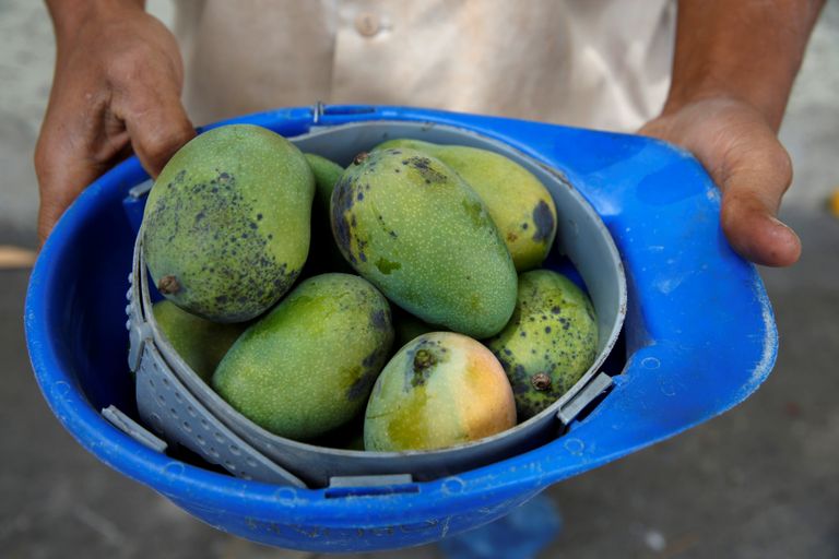 أطعمة لذيذة تقاوم ضغط الدم