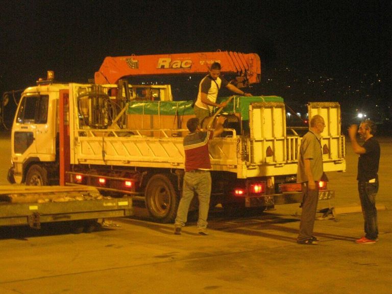 نقل دلافين حية عبر مصر للطيران