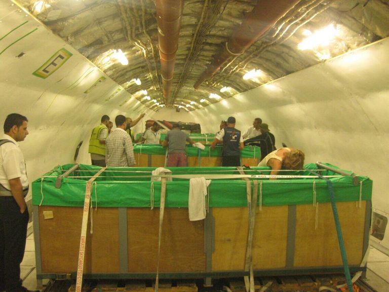 نقل دلافين حية عبر مصر للطيران