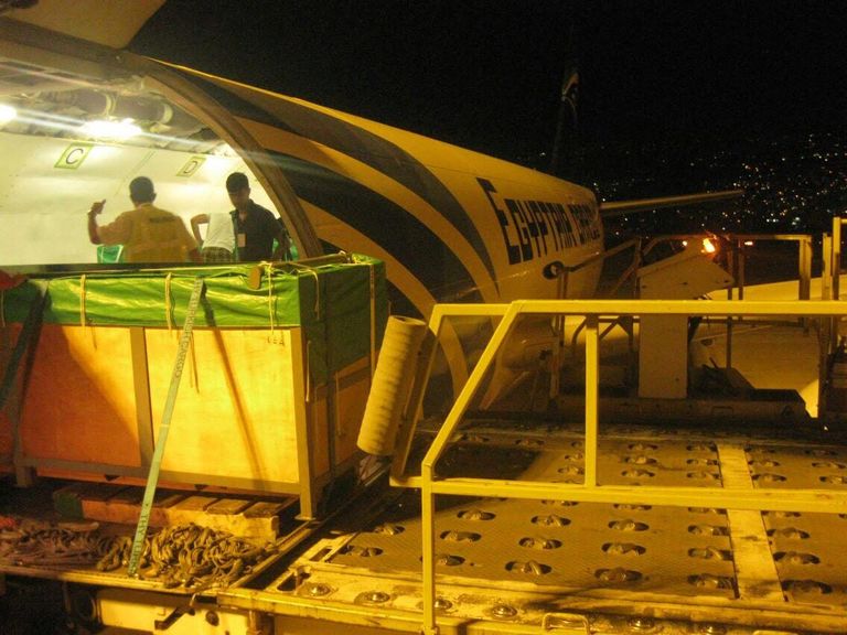 نقل دلافين حية عبر مصر للطيران