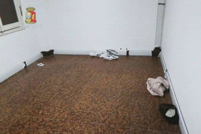 لوكاش بافل هيربا