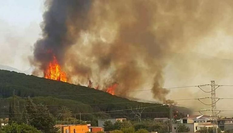 حرائق الغابات في شمال تونس